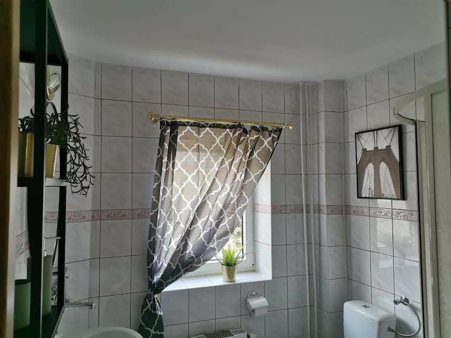 Willa Klimatyczny Dom W Wachocku Zewnętrze zdjęcie